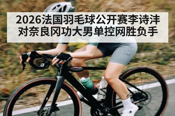 2026法国羽毛球公开赛李诗沣对奈良冈功大男单控网胜负手